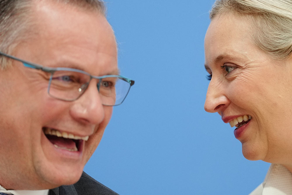 tyskland afd-ledare.jpg
