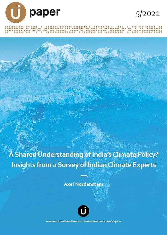 A Shared Understanding of India’s Climate Policy? Insights from a Survey of Indian Climate Experts