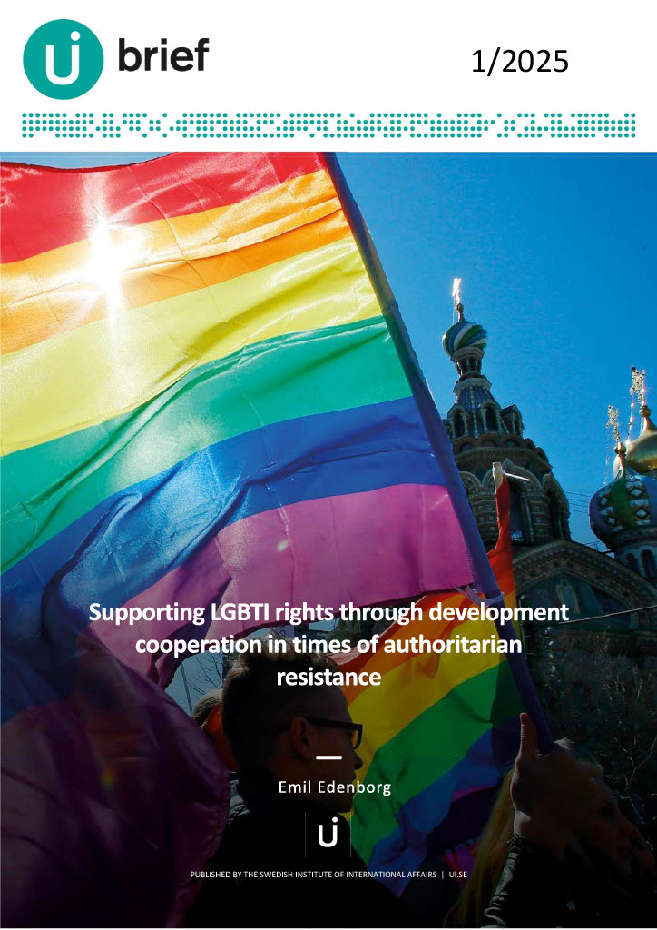 Supporting LGBTI rights through development cooperation in times of authoritarian resistance