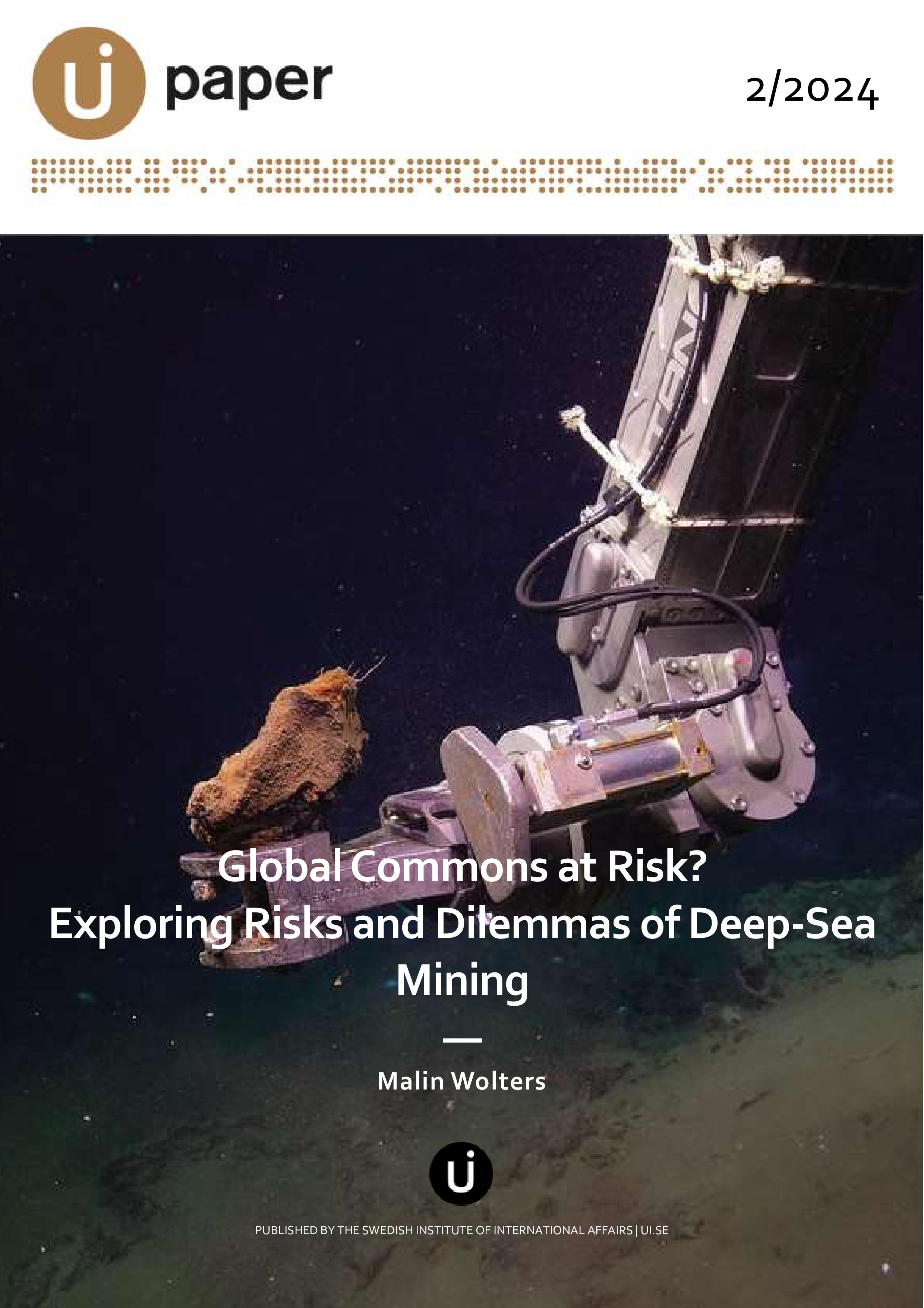 Global Commons at Risk? Exploring Risks and Dilemmas of Deep-Sea Mining